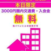 ヒメ日記 2023/11/30 19:16 投稿 京本 BBW札幌店