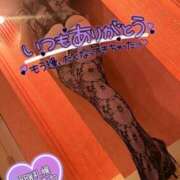 ヒメ日記 2025/02/20 09:05 投稿 京本 BBW札幌店