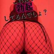 ヒメ日記 2025/10/14 09:15 投稿 京本 BBW札幌店