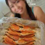 ヒメ日記 2025/10/10 13:15 投稿 せな 紳士の嗜み 大宮