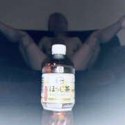 ヒメ日記 2026/03/17 09:08 投稿 JYURIA女王様 クラブドミナ