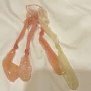 ヒメ日記 2026/03/23 22:12 投稿 JYURIA女王様 クラブドミナ