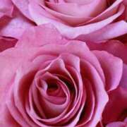 ヒメ日記 2024/12/14 09:50 投稿 りお 夜這専門発情する奥様たち 谷九店