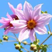 ヒメ日記 2024/12/17 09:41 投稿 りお 夜這専門発情する奥様たち 谷九店