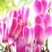 ヒメ日記 2024/12/18 10:02 投稿 りお 夜這専門発情する奥様たち 谷九店