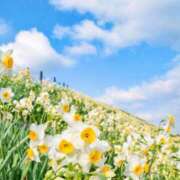 ヒメ日記 2024/12/19 10:02 投稿 りお 夜這専門発情する奥様たち 谷九店