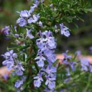 ヒメ日記 2024/12/22 10:02 投稿 りお 夜這専門発情する奥様たち 谷九店