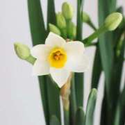 ヒメ日記 2024/12/26 10:01 投稿 りお 夜這専門発情する奥様たち 谷九店