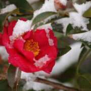 ヒメ日記 2024/12/29 10:21 投稿 りお 夜這専門発情する奥様たち 谷九店