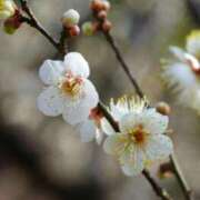 ヒメ日記 2024/12/30 10:02 投稿 りお 夜這専門発情する奥様たち 谷九店