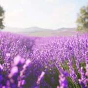 ヒメ日記 2024/12/31 10:01 投稿 りお 夜這専門発情する奥様たち 谷九店