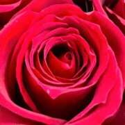 ヒメ日記 2025/01/01 09:01 投稿 りお 夜這専門発情する奥様たち 谷九店