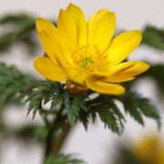 ヒメ日記 2025/01/02 10:01 投稿 りお 夜這専門発情する奥様たち 谷九店