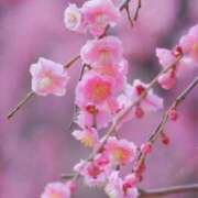 ヒメ日記 2025/01/03 10:16 投稿 りお 夜這専門発情する奥様たち 谷九店