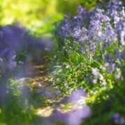 ヒメ日記 2025/01/16 11:01 投稿 りお 夜這専門発情する奥様たち 谷九店