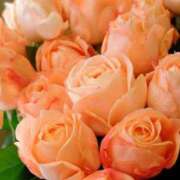 ヒメ日記 2025/01/20 09:41 投稿 りお 夜這専門発情する奥様たち 谷九店