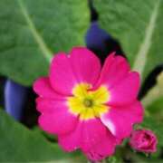 ヒメ日記 2025/01/21 09:17 投稿 りお 夜這専門発情する奥様たち 谷九店