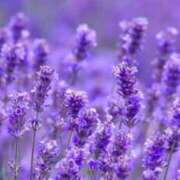 ヒメ日記 2025/01/22 10:01 投稿 りお 夜這専門発情する奥様たち 谷九店