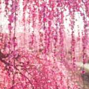 ヒメ日記 2025/01/23 10:02 投稿 りお 夜這専門発情する奥様たち 谷九店