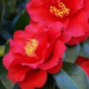 ヒメ日記 2025/01/24 10:02 投稿 りお 夜這専門発情する奥様たち 谷九店