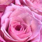 ヒメ日記 2025/01/25 09:18 投稿 りお 夜這専門発情する奥様たち 谷九店