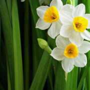 ヒメ日記 2025/01/26 10:01 投稿 りお 夜這専門発情する奥様たち 谷九店