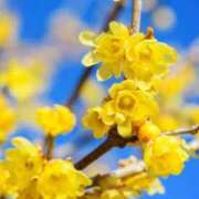 ヒメ日記 2025/01/27 10:02 投稿 りお 夜這専門発情する奥様たち 谷九店