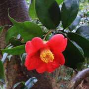 ヒメ日記 2025/01/28 10:01 投稿 りお 夜這専門発情する奥様たち 谷九店