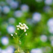 ヒメ日記 2025/01/30 10:21 投稿 りお 夜這専門発情する奥様たち 谷九店