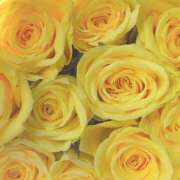 ヒメ日記 2025/01/31 09:02 投稿 りお 夜這専門発情する奥様たち 谷九店