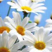 ヒメ日記 2025/02/01 10:11 投稿 りお 夜這専門発情する奥様たち 谷九店