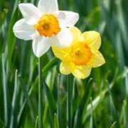 ヒメ日記 2025/02/02 10:02 投稿 りお 夜這専門発情する奥様たち 谷九店