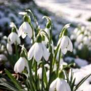 ヒメ日記 2025/02/04 10:11 投稿 りお 夜這専門発情する奥様たち 谷九店