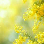 ヒメ日記 2025/02/05 10:01 投稿 りお 夜這専門発情する奥様たち 谷九店