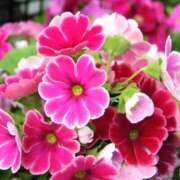 ヒメ日記 2025/02/07 10:02 投稿 りお 夜這専門発情する奥様たち 谷九店