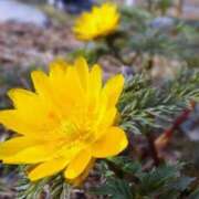 ヒメ日記 2025/02/09 10:21 投稿 りお 夜這専門発情する奥様たち 谷九店