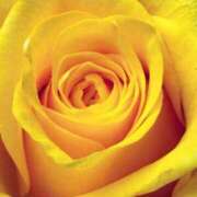 ヒメ日記 2025/02/11 09:02 投稿 りお 夜這専門発情する奥様たち 谷九店