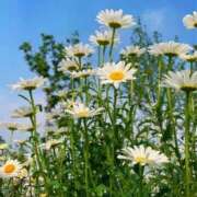 ヒメ日記 2025/02/12 10:02 投稿 りお 夜這専門発情する奥様たち 谷九店