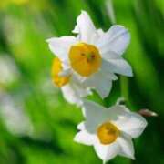 ヒメ日記 2025/02/13 10:11 投稿 りお 夜這専門発情する奥様たち 谷九店