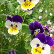 ヒメ日記 2025/02/14 10:11 投稿 りお 夜這専門発情する奥様たち 谷九店