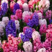 ヒメ日記 2025/02/15 10:16 投稿 りお 夜這専門発情する奥様たち 谷九店