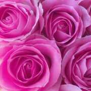 ヒメ日記 2025/02/16 09:02 投稿 りお 夜這専門発情する奥様たち 谷九店