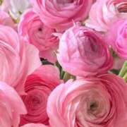 ヒメ日記 2025/02/18 10:01 投稿 りお 夜這専門発情する奥様たち 谷九店