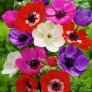 ヒメ日記 2025/02/19 09:21 投稿 りお 夜這専門発情する奥様たち 谷九店