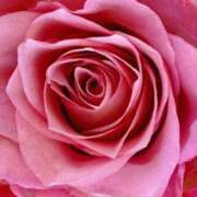 ヒメ日記 2025/02/22 09:02 投稿 りお 夜這専門発情する奥様たち 谷九店