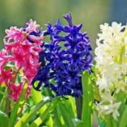 ヒメ日記 2025/02/24 10:11 投稿 りお 夜這専門発情する奥様たち 谷九店