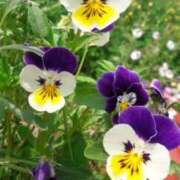 ヒメ日記 2025/02/26 10:02 投稿 りお 夜這専門発情する奥様たち 谷九店