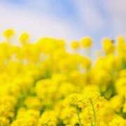 ヒメ日記 2025/02/27 10:17 投稿 りお 夜這専門発情する奥様たち 谷九店