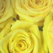 ヒメ日記 2025/02/28 09:01 投稿 りお 夜這専門発情する奥様たち 谷九店