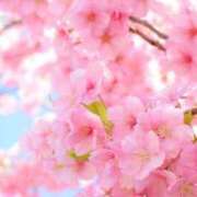 ヒメ日記 2025/03/01 10:02 投稿 りお 夜這専門発情する奥様たち 谷九店